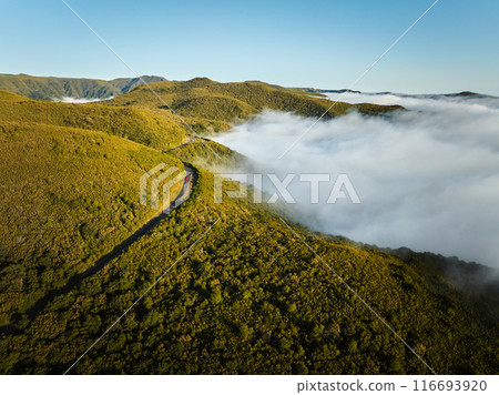 Aerial view of green hills of Madeira island, Portugal Aerial view of green hills of Madeira island, Portugal 116693920
