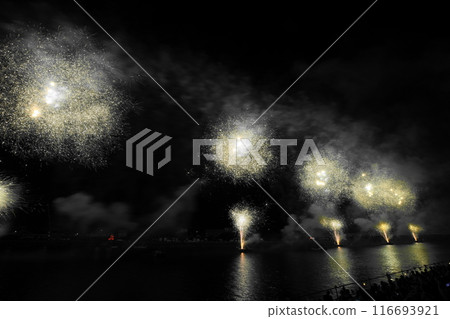 豐橋祗園祭煙火大會 116693921