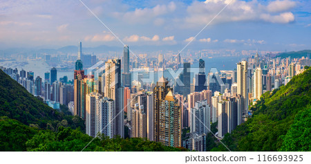 Hong Kong skyscrapers skyline cityscape view 116693925