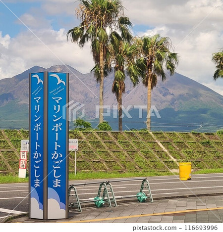 鹿兒島縣鹿兒島市櫻島和鹿兒島港風景 鹿兒島縣鹿兒島市櫻島和鹿兒島港風景 116693996