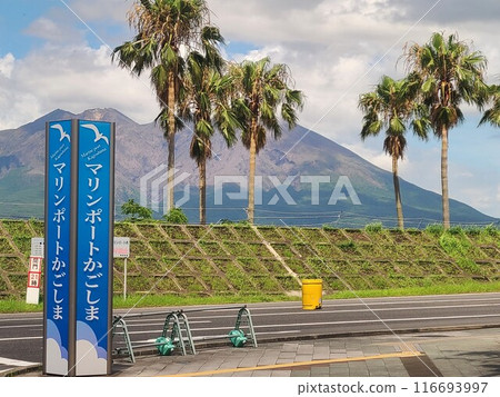 Sakurajima and Marine Port Kagoshima, Kagoshima City, Kagoshima Prefecture 116693997