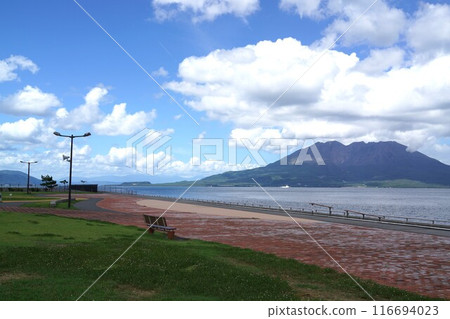 Sakurajima and Marine Port Kagoshima, Kagoshima City, Kagoshima Prefecture 116694023