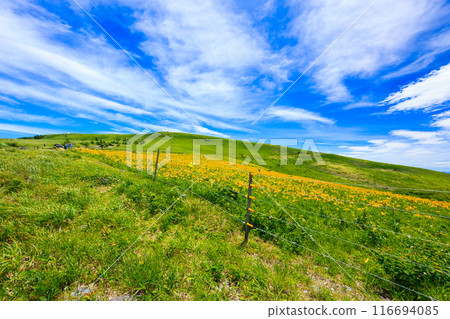 車山肩的花園 116694085