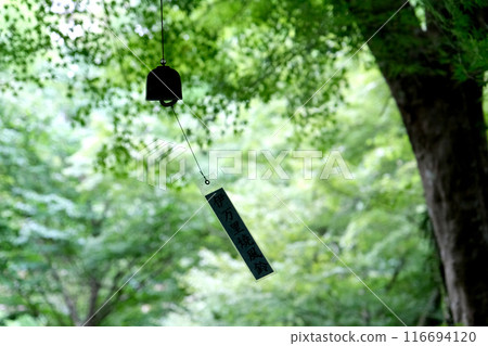 Scenery with wind chimes 116694120