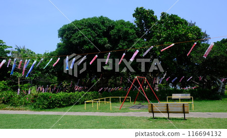 石垣島公園和鯉魚旗 石垣島公園和鯉魚旗 116694132
