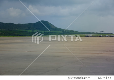 新石垣機場跑道和起降客機 新石垣機場跑道和起降客機 116694133
