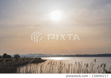 Evening view of Lake Hinuma, Ibaraki (Hokota City) Evening view of Lake Hinuma, Ibaraki (Hokota City) 116694217