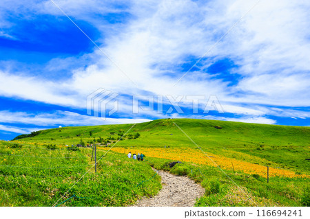 車山山肩的花園和山路 車山山肩的花園和山路 116694241