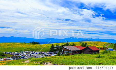 北阿爾卑斯山和花田 116694243