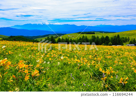 從花園看去 116694244