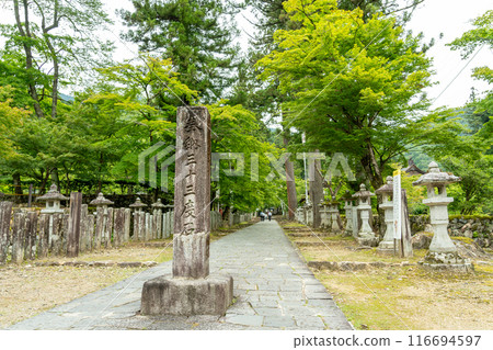 岐阜縣揖斐川町、華嚴寺燈籠路入口處的33度石、谷組山的新綠 116694597