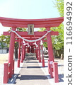 Inari Shrine in the Park 116694992