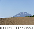 Tiramisu from the Niseko Earth 116694993