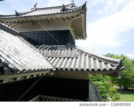 松本城的辰巳角樓(長野縣:松本) 松本城的辰巳角樓(長野縣:松本) 116695098