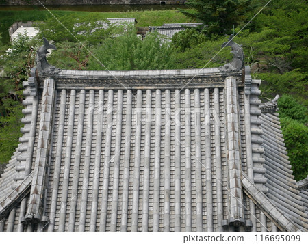 松本城的辰巳角樓(長野縣:松本) 松本城的辰巳角樓(長野縣:松本) 116695099