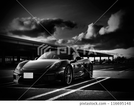 Shiny black sports car 116695148