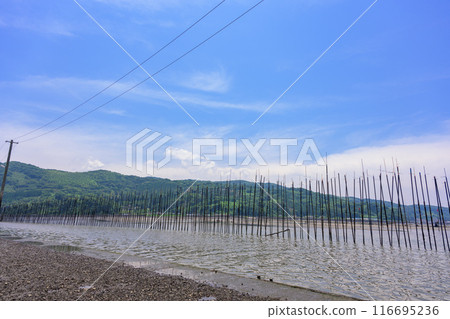 A view from the road that leads straight into the sea: Seaweed farming scenery, Nagabeta Kaishoro, Sumiyoshi, Uto City A view from the road that leads straight into the sea: Seaweed farming scenery, Nagabeta Kaishoro, Sumiyoshi, Uto City 116695236