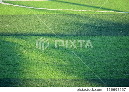 artificial green grass soccer field with sunlight, training football yard artificial green grass soccer field with sunlight, training football yard 116695267