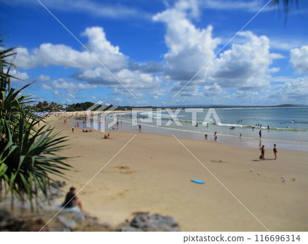 Australia Sunshine Coast Noosa Beach Diorama Style Australia Sunshine Coast Noosa Beach Diorama Style 116696314