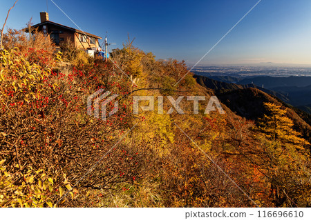 丹澤/戶野岳的紅葉和尊佛山莊/關東平原的景色 116696610