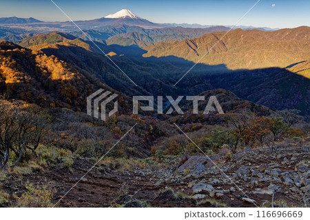 Mt. Fuji and the Nabewari ridge with autumn leaves as seen from Mt. Tonodake in Tanzawa in the morning 116696669