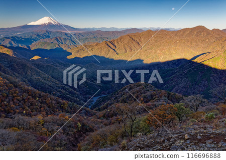 Mt. Fuji and autumn foliage seen from Mt. Tonodake in Tanzawa in the morning 116696888