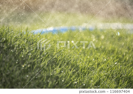 Watering the grass Watering the grass 116697404