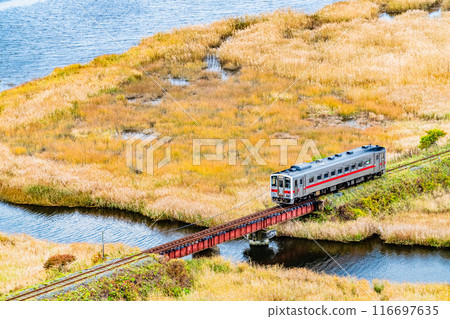 Hokkaido Hanasaki Line: A train running through the autumn-colored Bekanbeushi Marshlands Hokkaido Hanasaki Line: A train running through the autumn-colored Bekanbeushi Marshlands 116697635