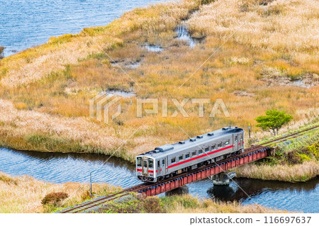 北海道花崎線：行駛在秋天的別官別石濕地的列車 116697637