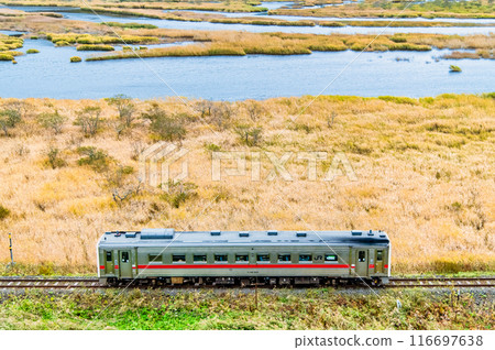 北海道花崎線:行駛在秋天的別官別石濕地的列車 北海道花崎線:行駛在秋天的別官別石濕地的列車 116697638