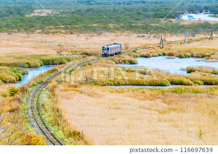 北海道花崎線:行駛在秋天的別官別石濕地的列車 北海道花崎線:行駛在秋天的別官別石濕地的列車 116697639