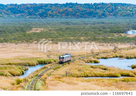 北海道花崎線:行駛在秋天的別官別石濕地的列車 北海道花崎線:行駛在秋天的別官別石濕地的列車 116697641