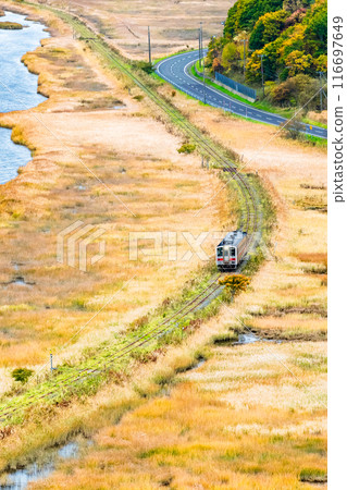 北海道花崎線:行駛在秋天的別官別石濕地的列車 北海道花崎線:行駛在秋天的別官別石濕地的列車 116697649