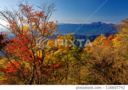 箱根山澤/鍋原嶺和箱根山脈的秋葉 箱根山澤/鍋原嶺和箱根山脈的秋葉 116697742