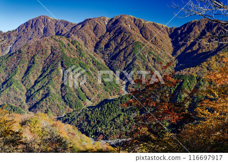 View of Mt. Hirugatake, Mt. Tanzawa and Yushin Valley from the Nabewari Ridge in autumn colors View of Mt. Hirugatake, Mt. Tanzawa and Yushin Valley from the Nabewari Ridge in autumn colors 116697917