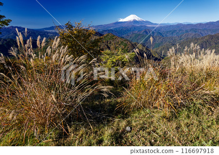Mt. Fuji seen from Mt. Nabewari in Tanzawa in autumn Mt. Fuji seen from Mt. Nabewari in Tanzawa in autumn 116697918