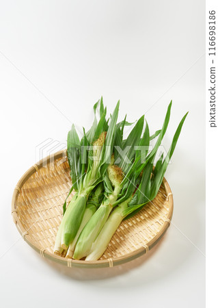 Young corn on a white background 116698186