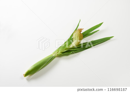 Young corn on a white background 116698187