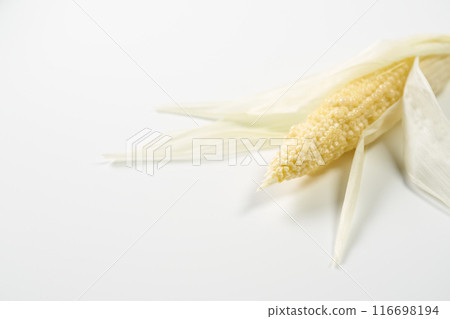 年輕玉米白色背景 116698194