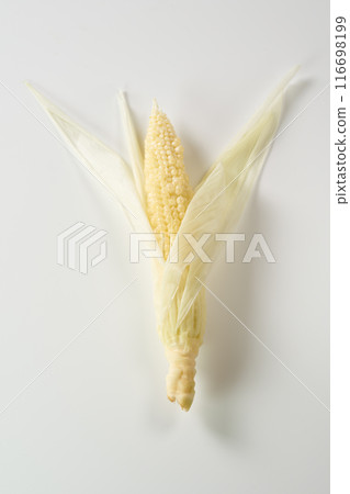 Young corn on a white background 116698199