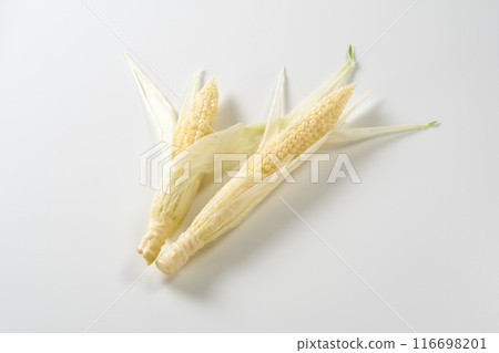 年輕玉米白色背景 年輕玉米白色背景 116698201
