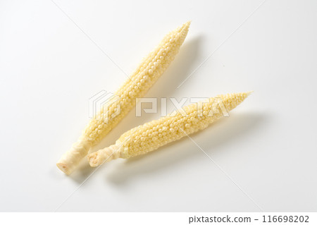 年輕玉米白色背景 116698202