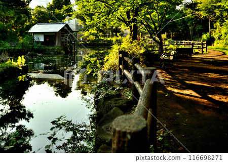 A comfortable space in the city: A view of Nabeshima Shoto Park with a waterwheel 116698271