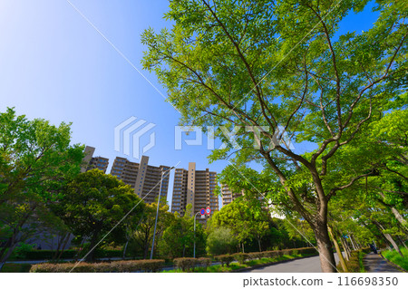 [Osaka Prefecture] April - Street view around Kita-Senri Station 116698350