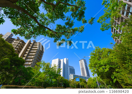 [大阪府]4月，北千里站週邊的街景 116698420