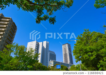 [大阪府]4月，北千里站週邊的街景 116698421