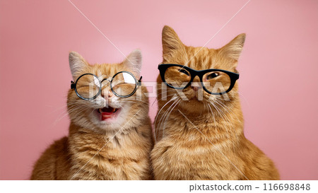 戴眼鏡的微笑貓（AI生成） 116698848