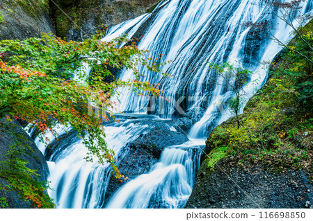 Fukuroda Falls in early autumn, Ibaraki Fukuroda Falls in early autumn, Ibaraki 116698850
