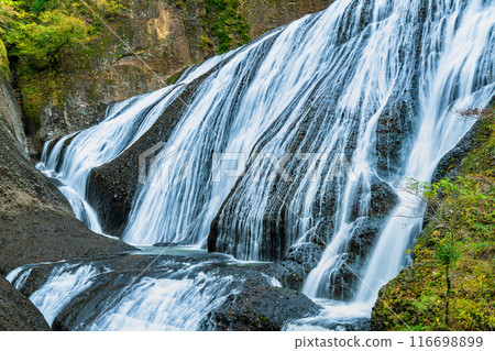 初秋的茨城縣袋田瀑布 116698899