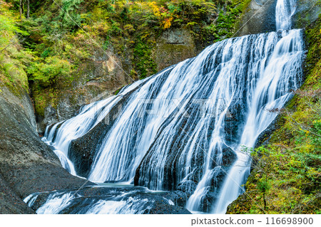 初秋的茨城縣袋田瀑布 116698900